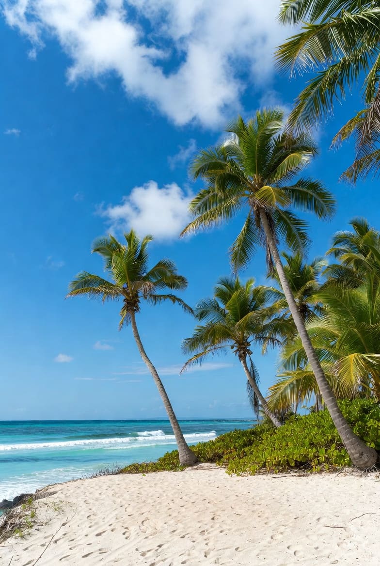 Tall palm trees on white sandy beach at Uvero Alto, Punta Cana, with turquoise ocean and blue sky